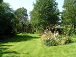 Grasveld